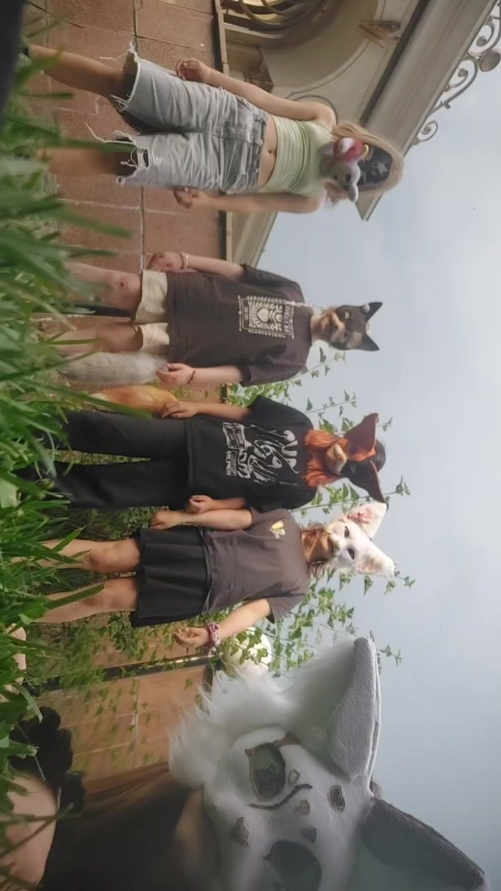 @★🍃°•_𖦹🐾𝓓𝓲𝓴𝓼𝓲🐚𖦹_•°🍃★