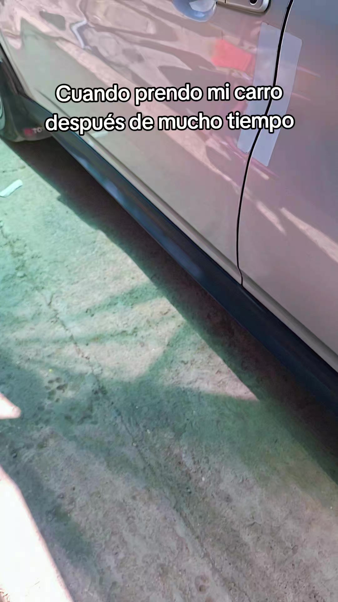 @edwin550