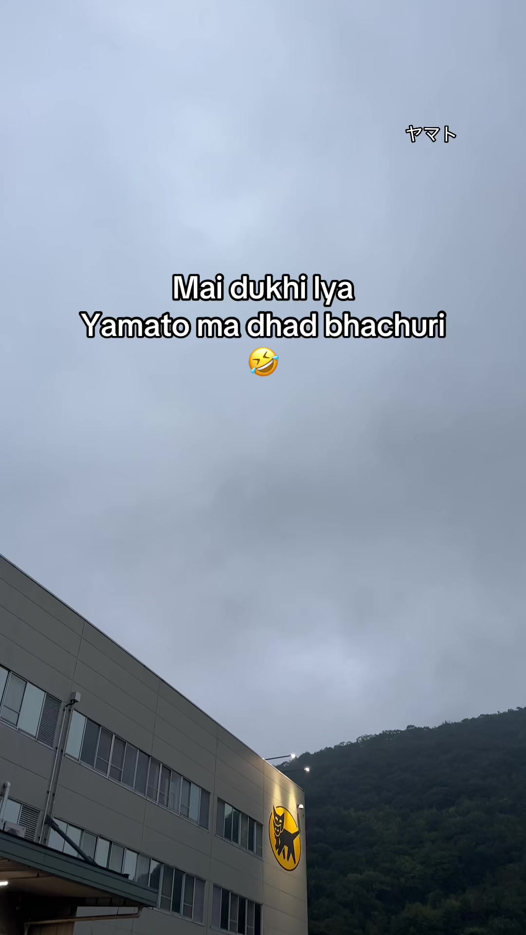 @Suchyyy