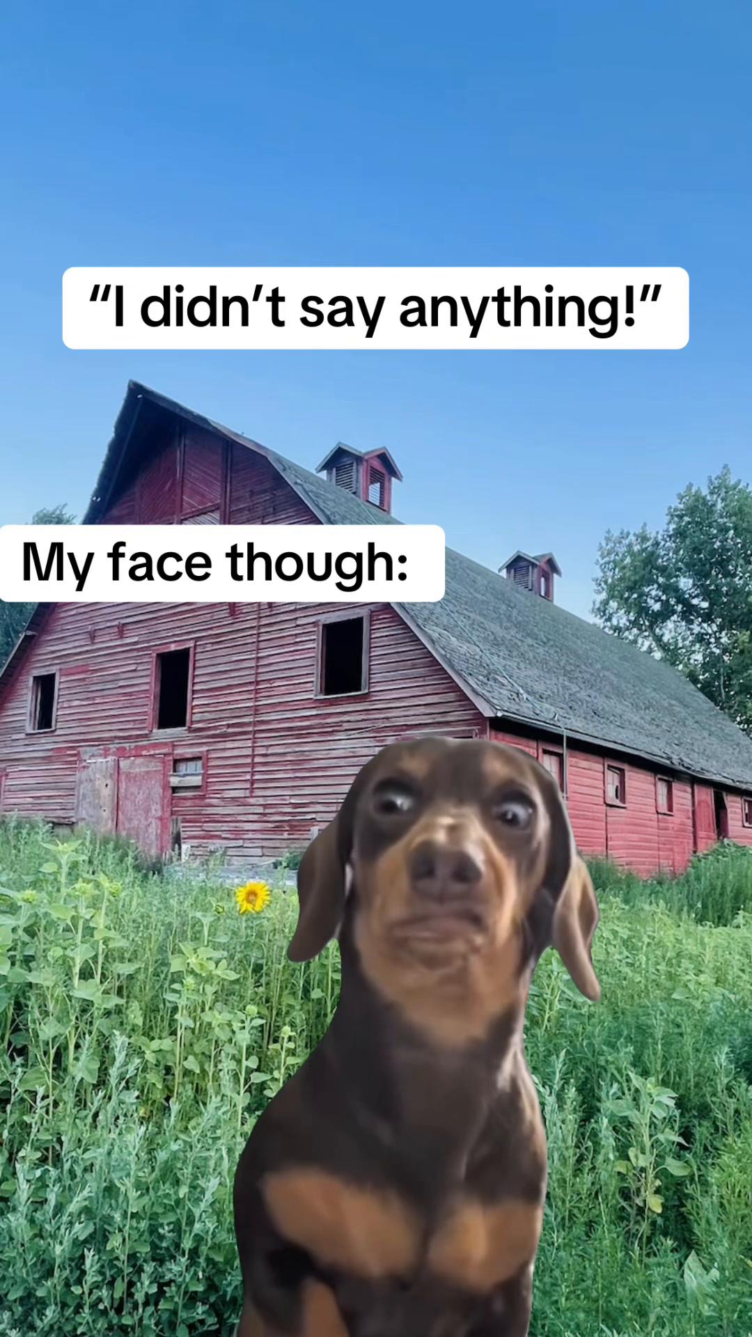 @thatredbarnlady