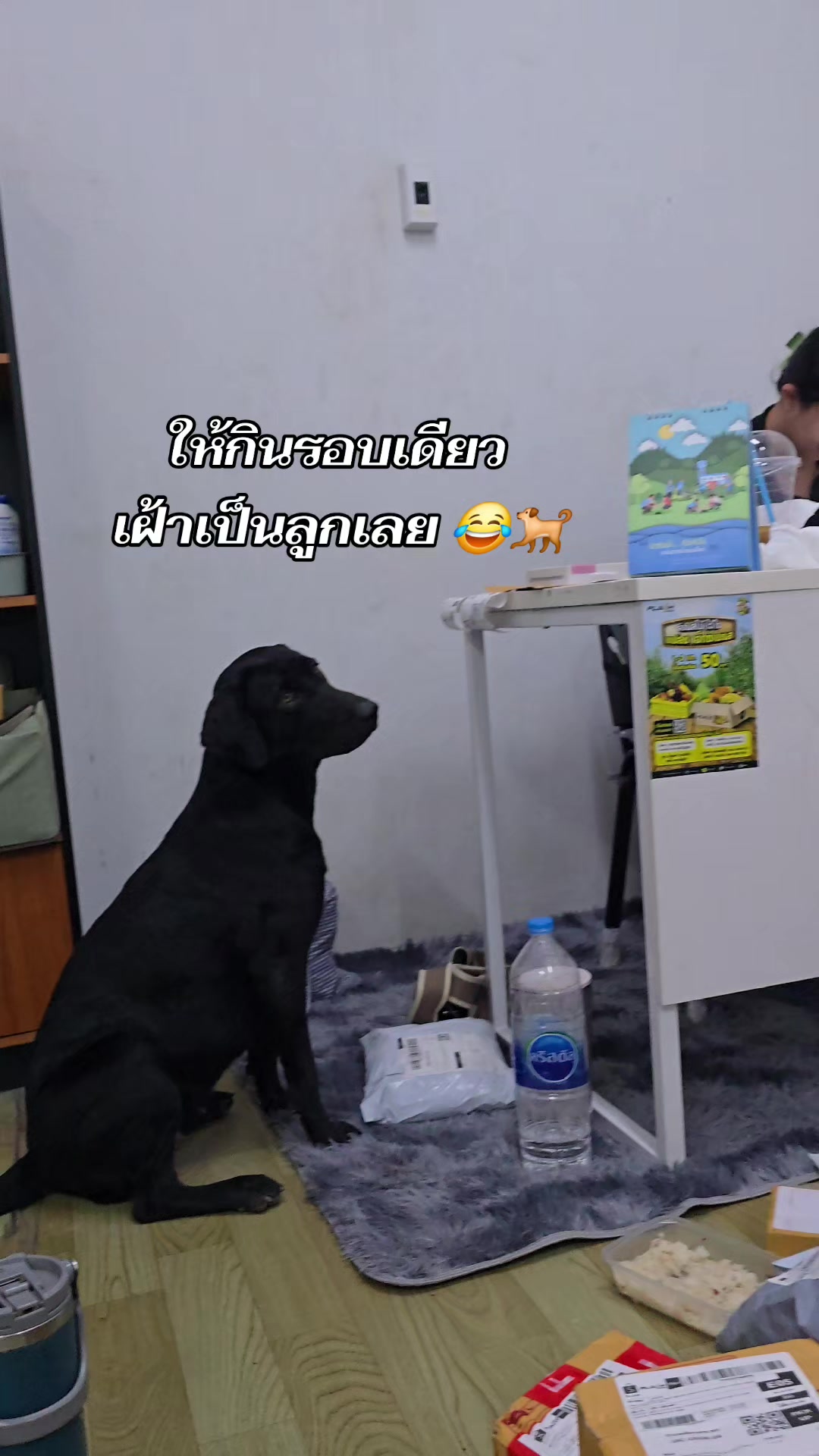 @อาร์ม วุฒิกร