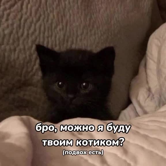 @щп