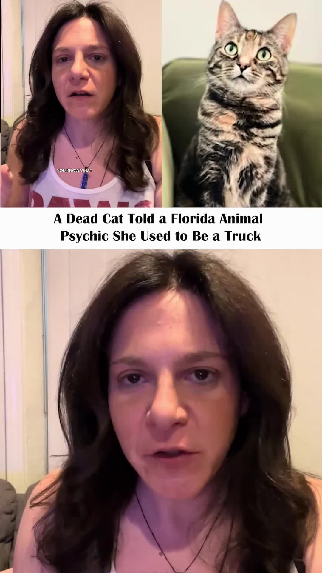 @Nnnewss
