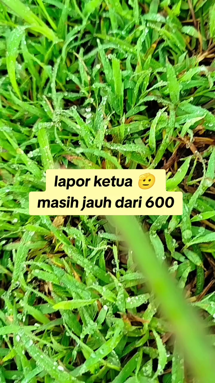 @ibu_devan