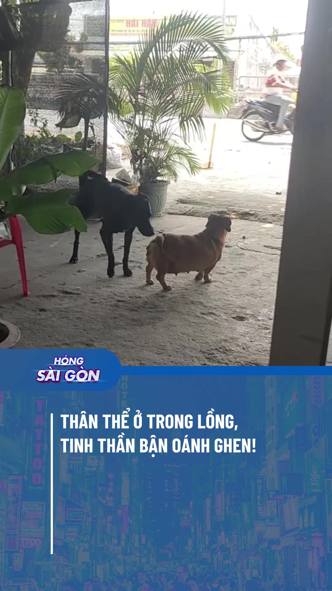 @Hóng Sài Gòn