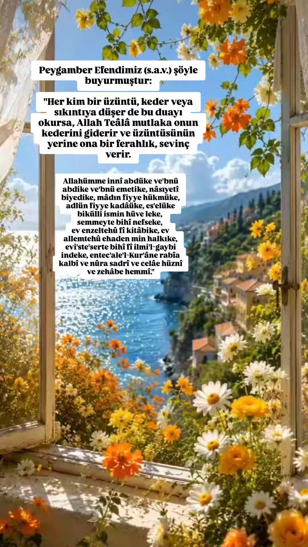 @hayat nereye gidiyor