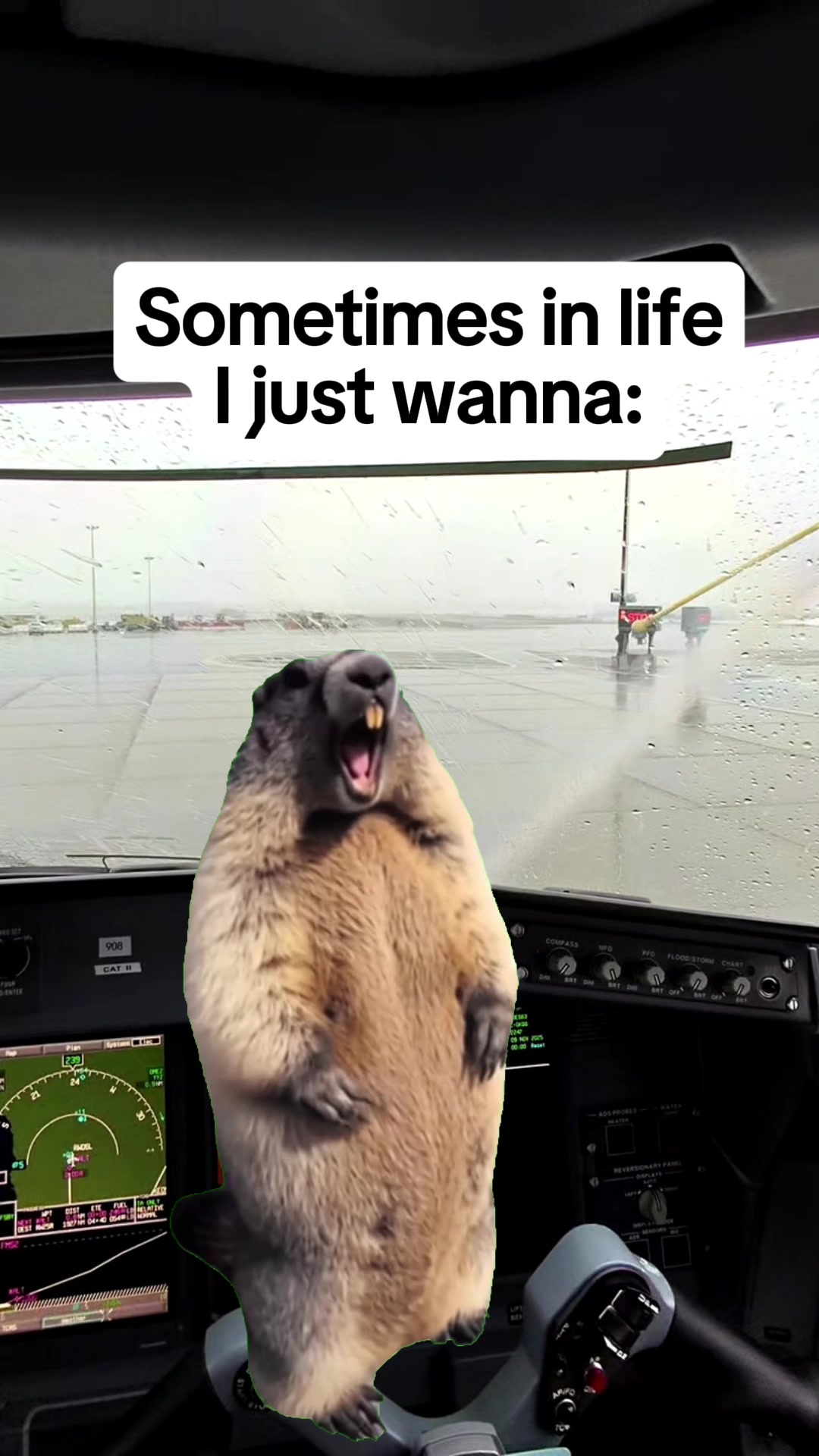 @Pilotdory 🇨🇦