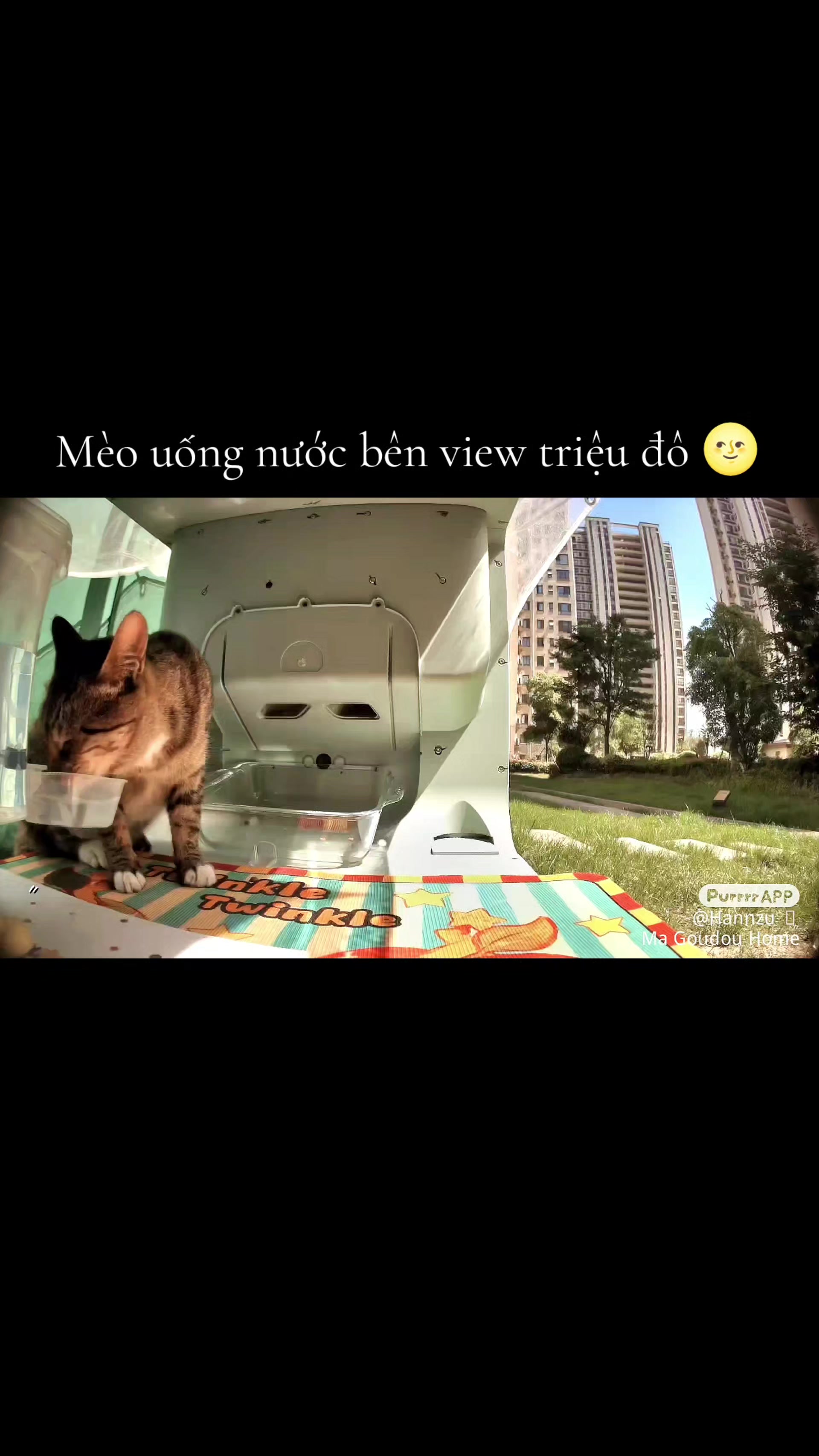 @Meo Meo 😋