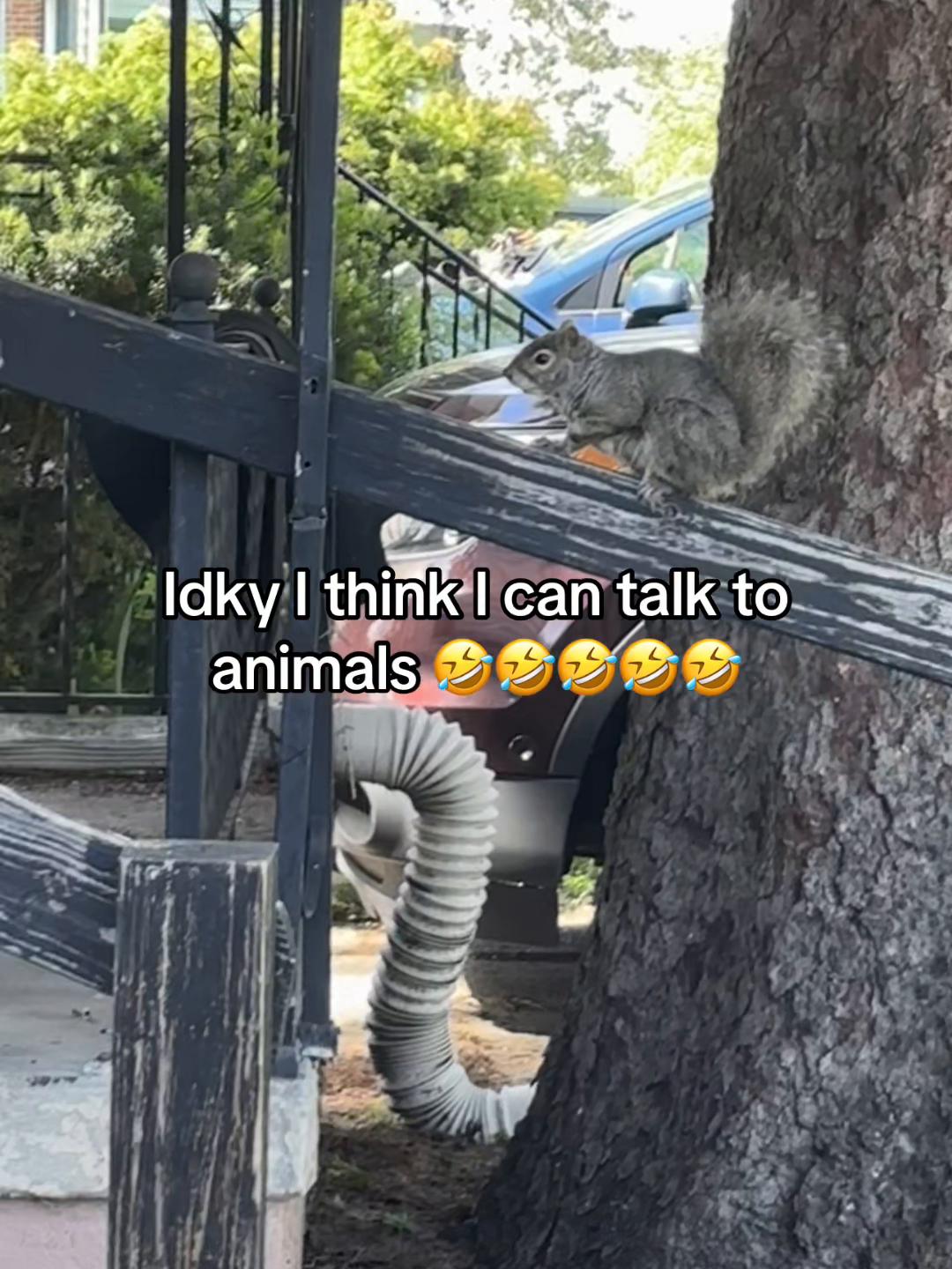 @Maj