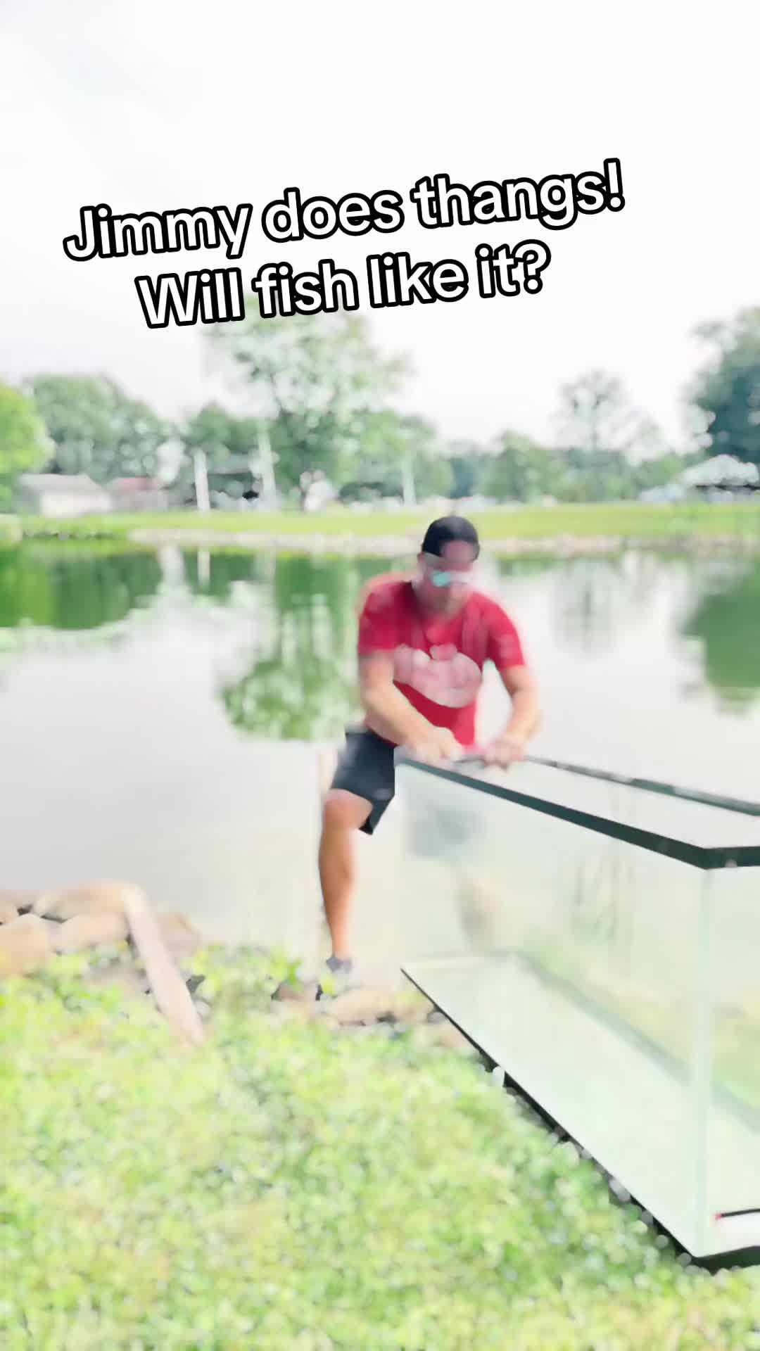 @jim_y🐅