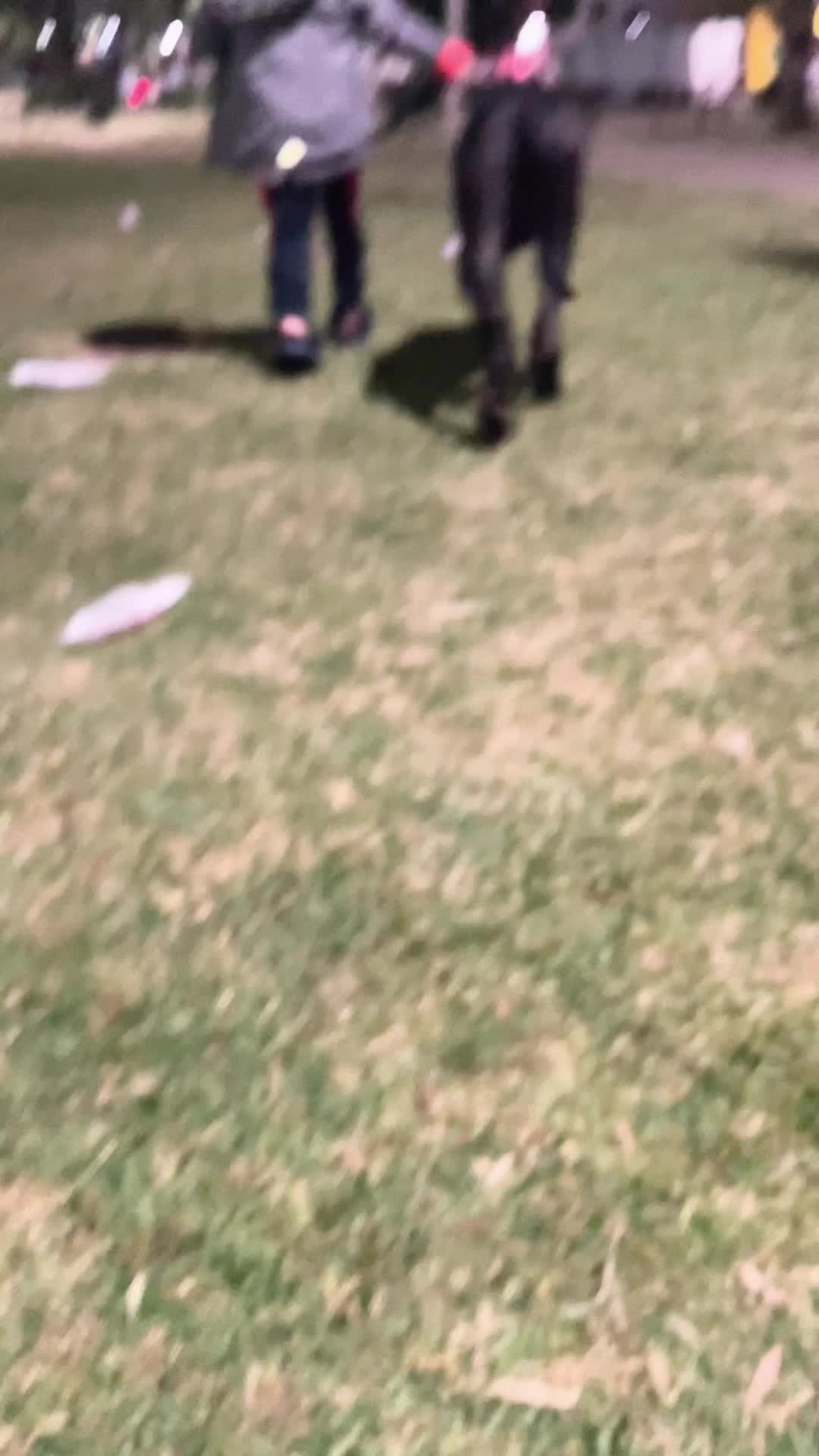@canicorsoftmalinois