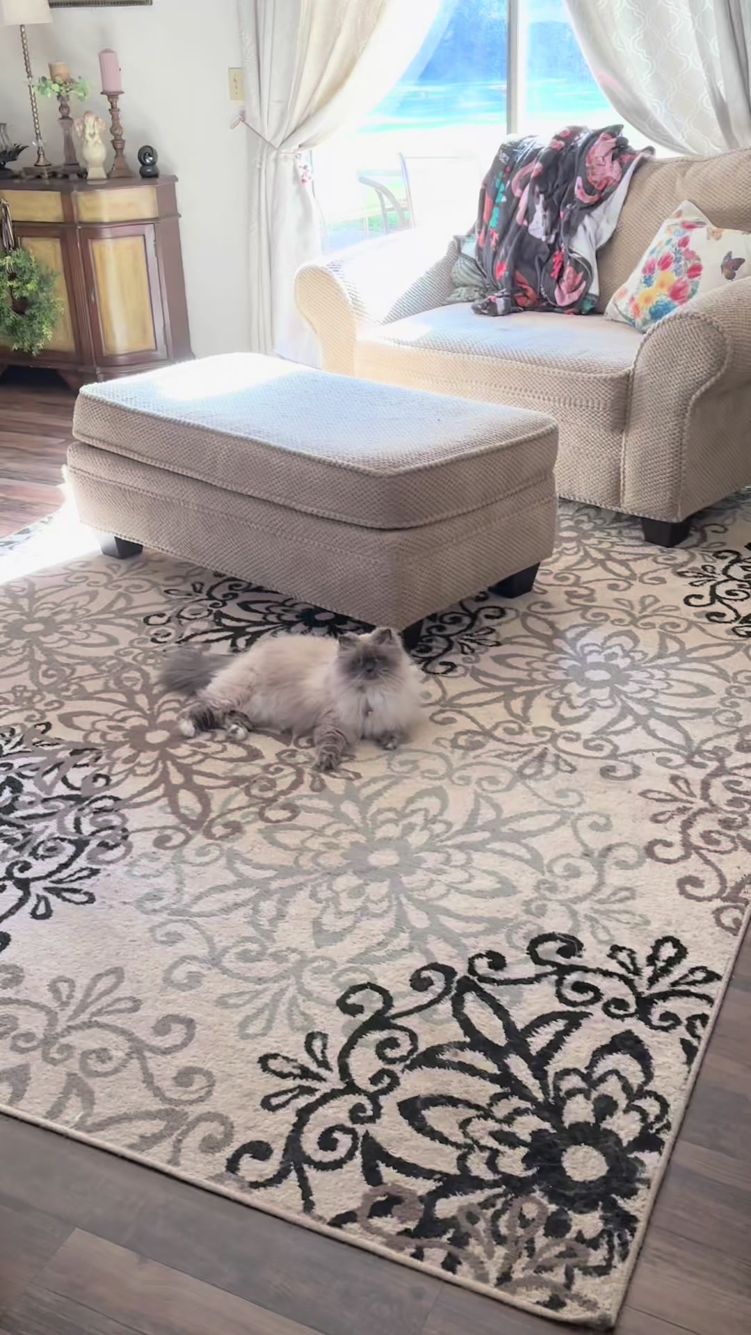 @Melissa’s9Lilfluffs