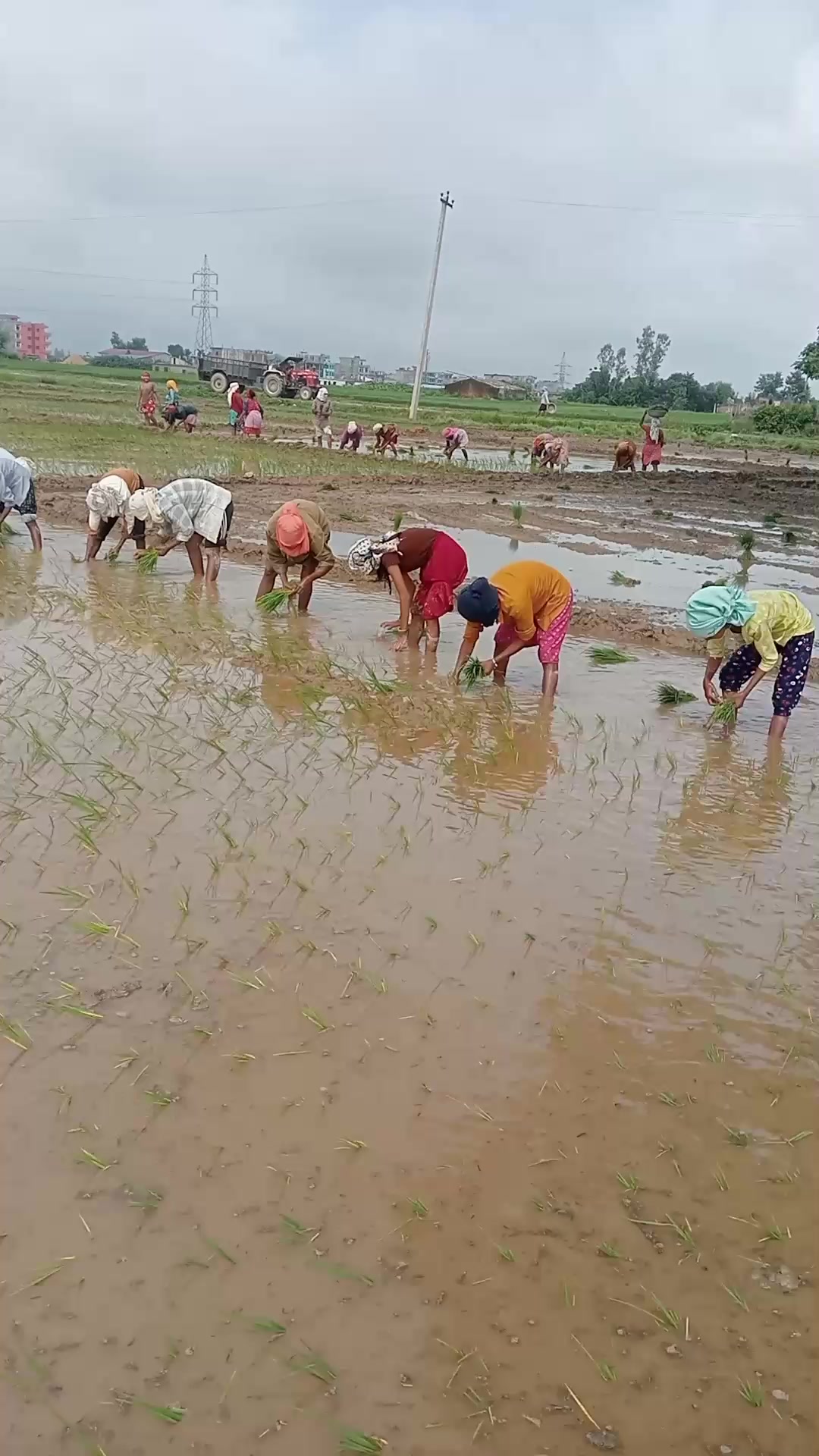 @Mina Poudel Parajuli