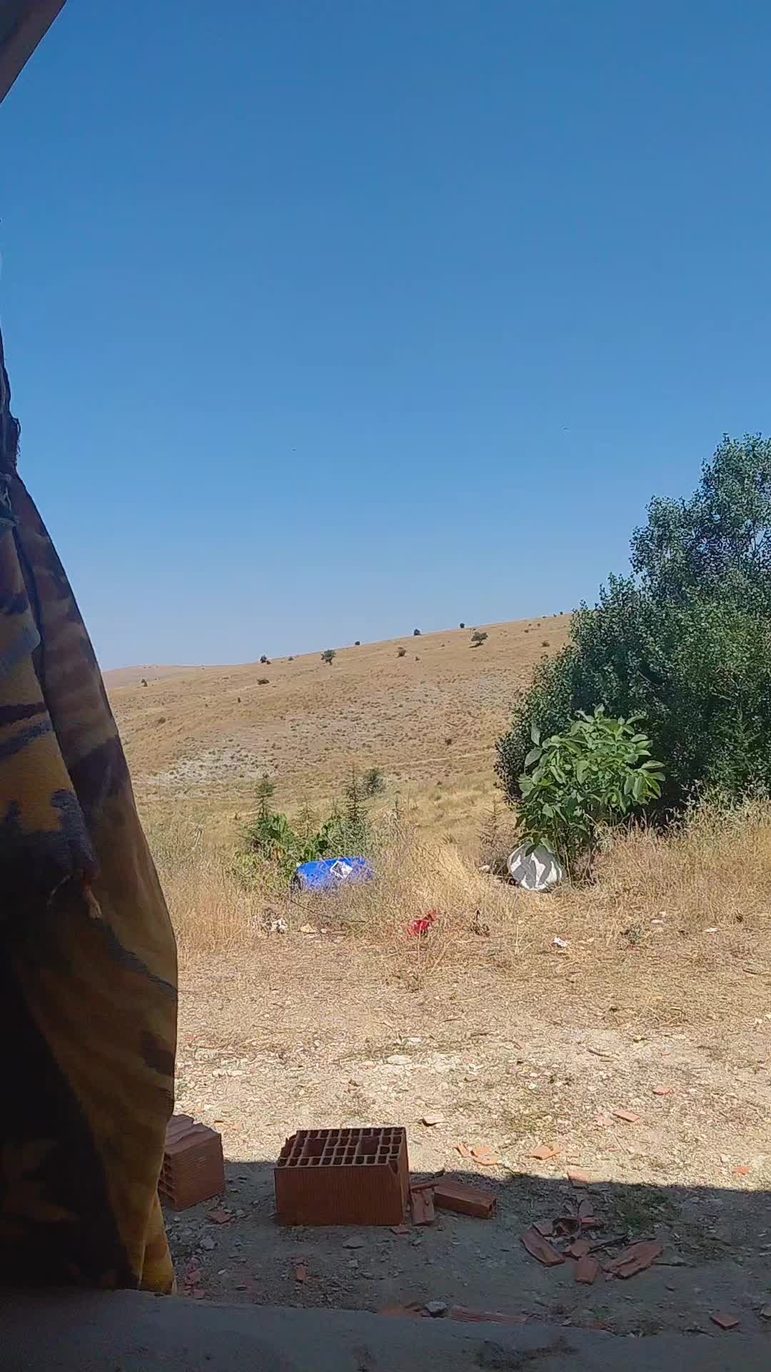 @ERDOĞAN KOÇYİĞİT 03