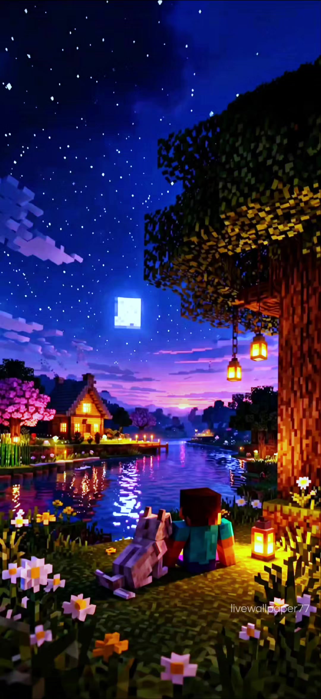 @Live Wallpaper