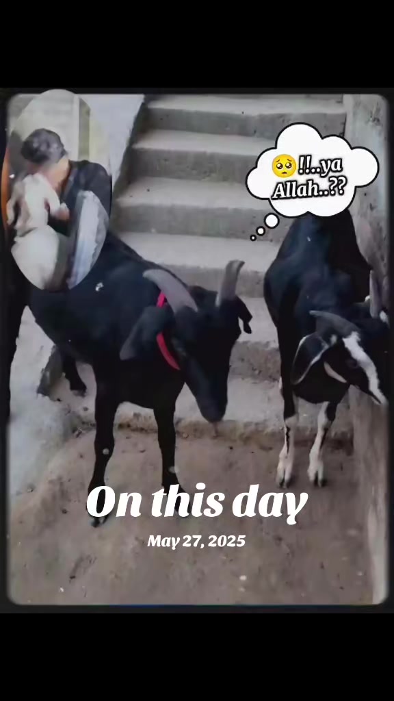 @(S, Khan) 🇳🇵🌉🌉🇳🇵