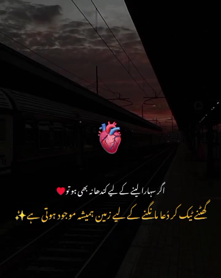 @MrS ArSaLaN♥️