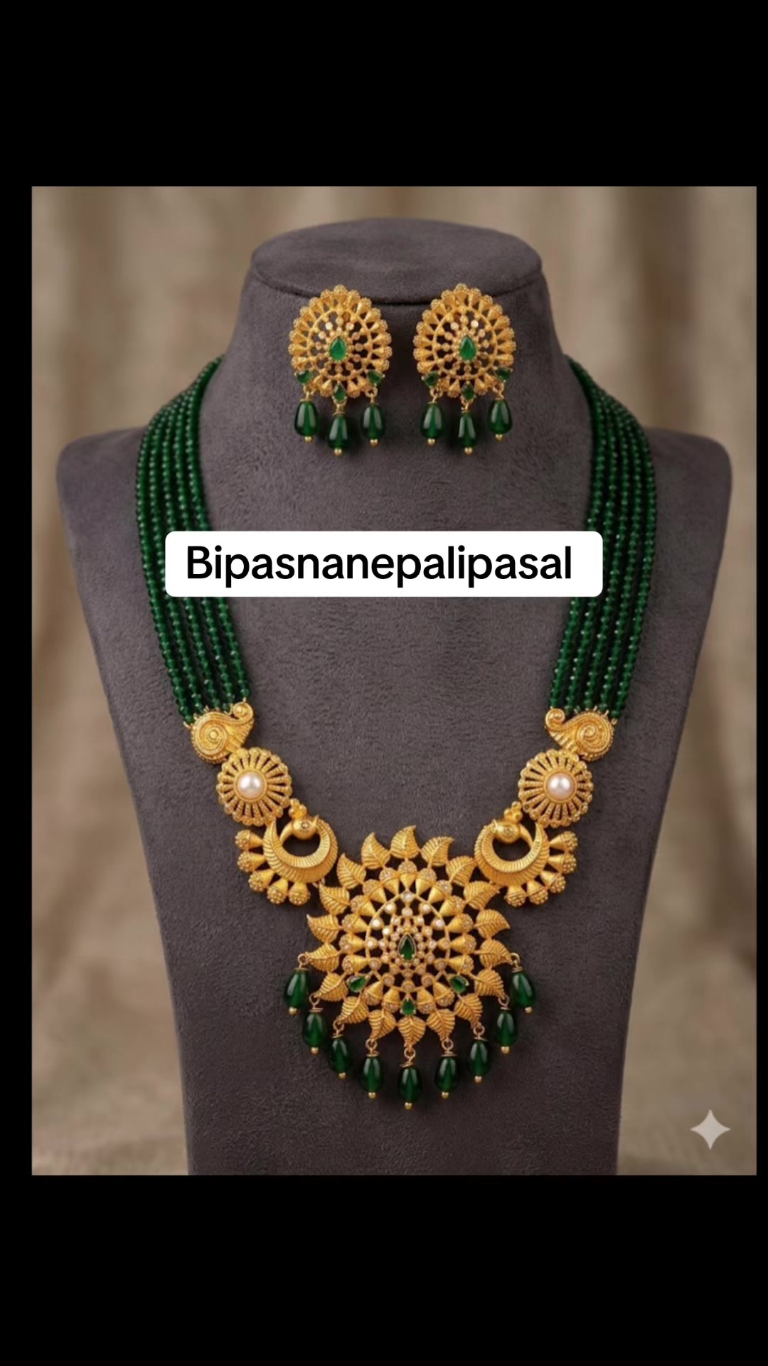 @Bipasna Nepali Pasal