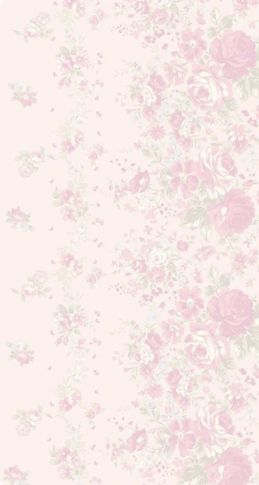 @ava🪽⋆˚࿔
