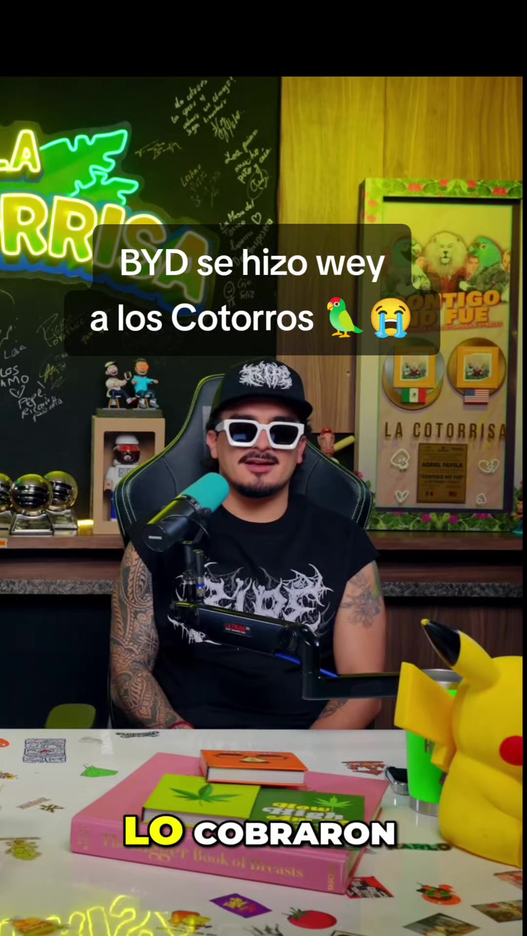 @Cortorrisa