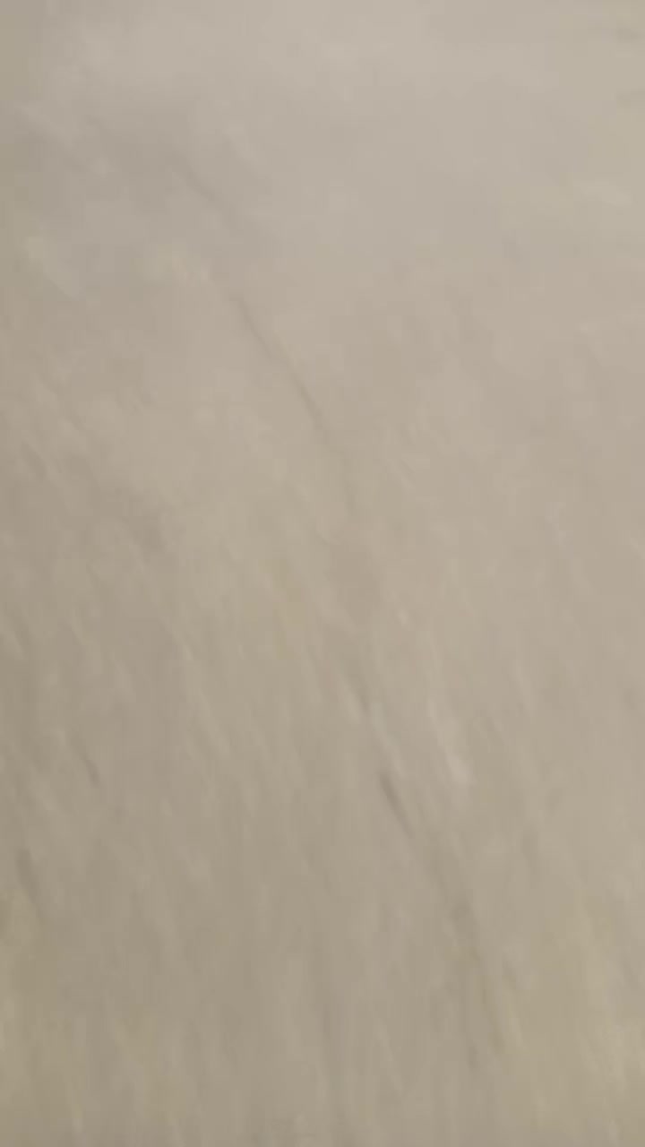 @Laviadwol@