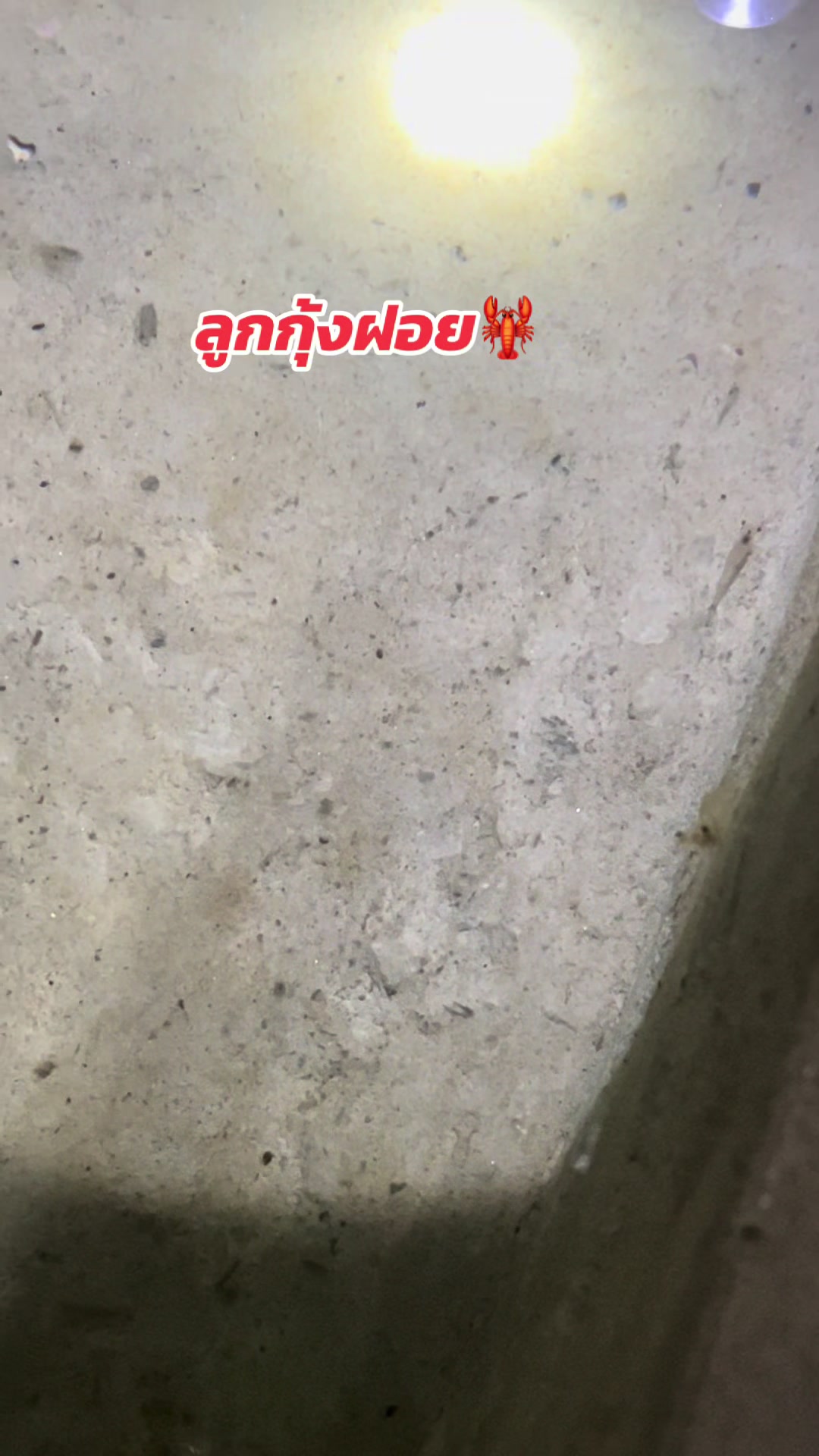 @สาวคำเลาะ