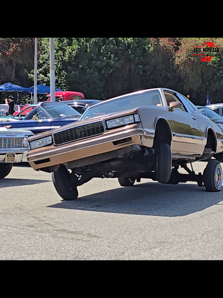 @Los Wheels