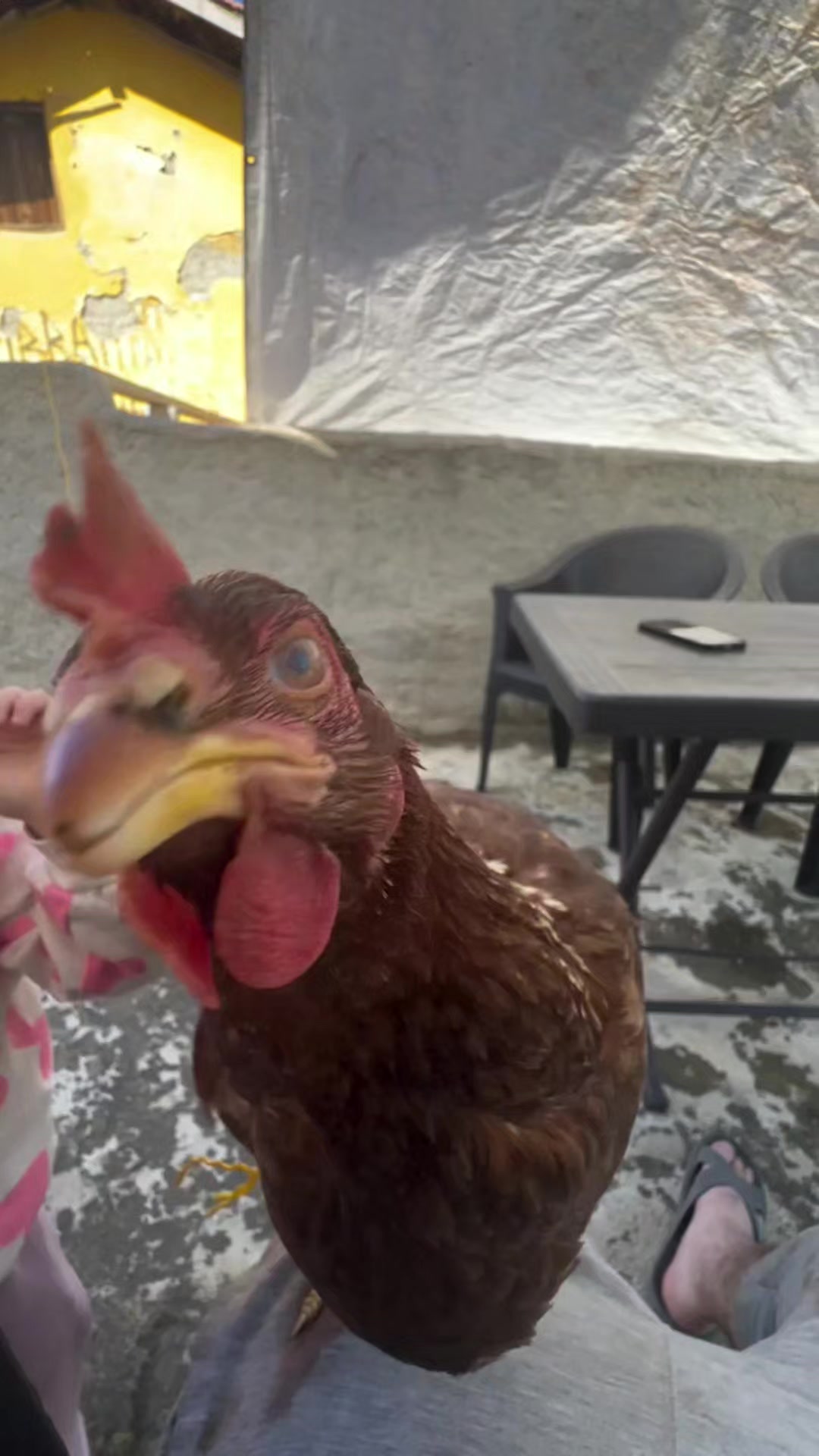@Mehmet tc