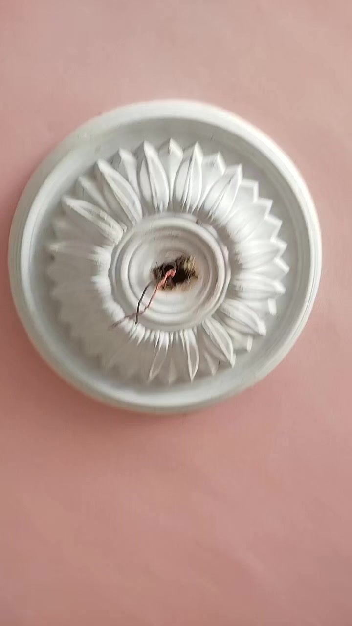 @𝄟✮͢🦋⃟≛⃝ᴍᴀʟɪᴋ𝄟✮⃝ sʜᴀʜɪᴅ🍁⃝