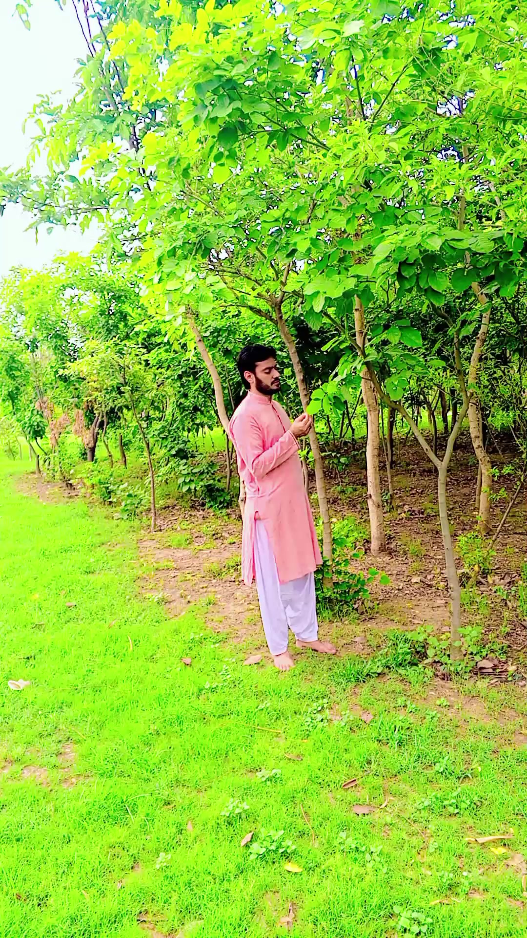 @Qudratullah Khan