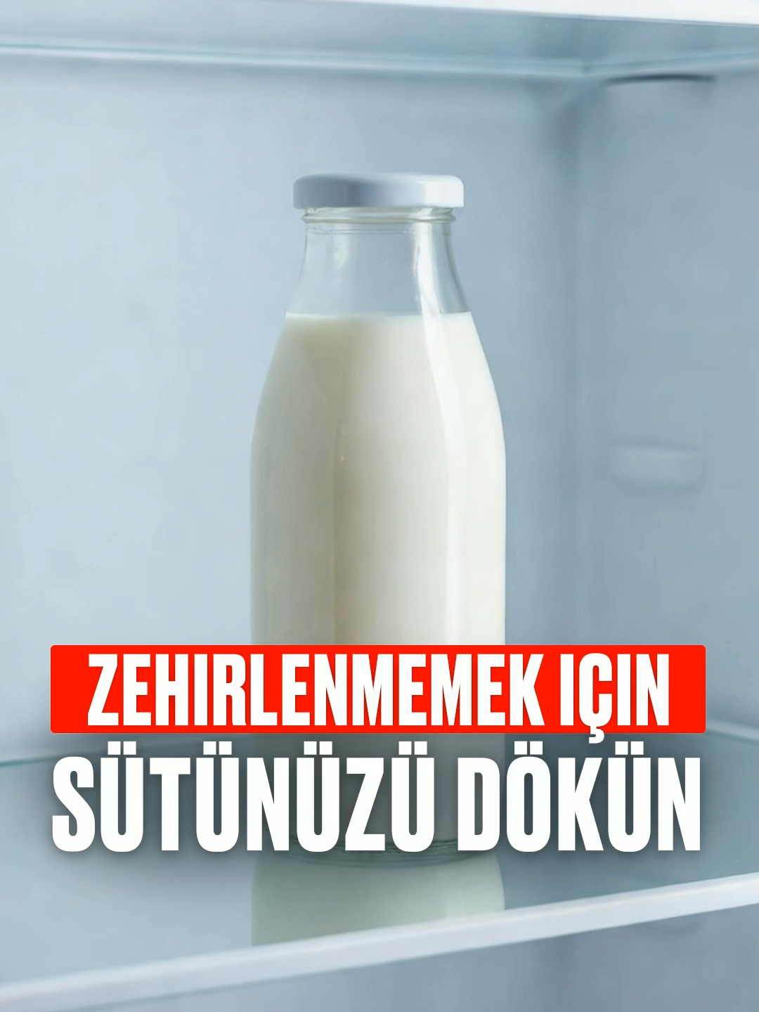 @Bolotov_Merkezi