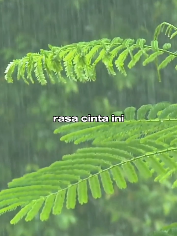 @RD STORY