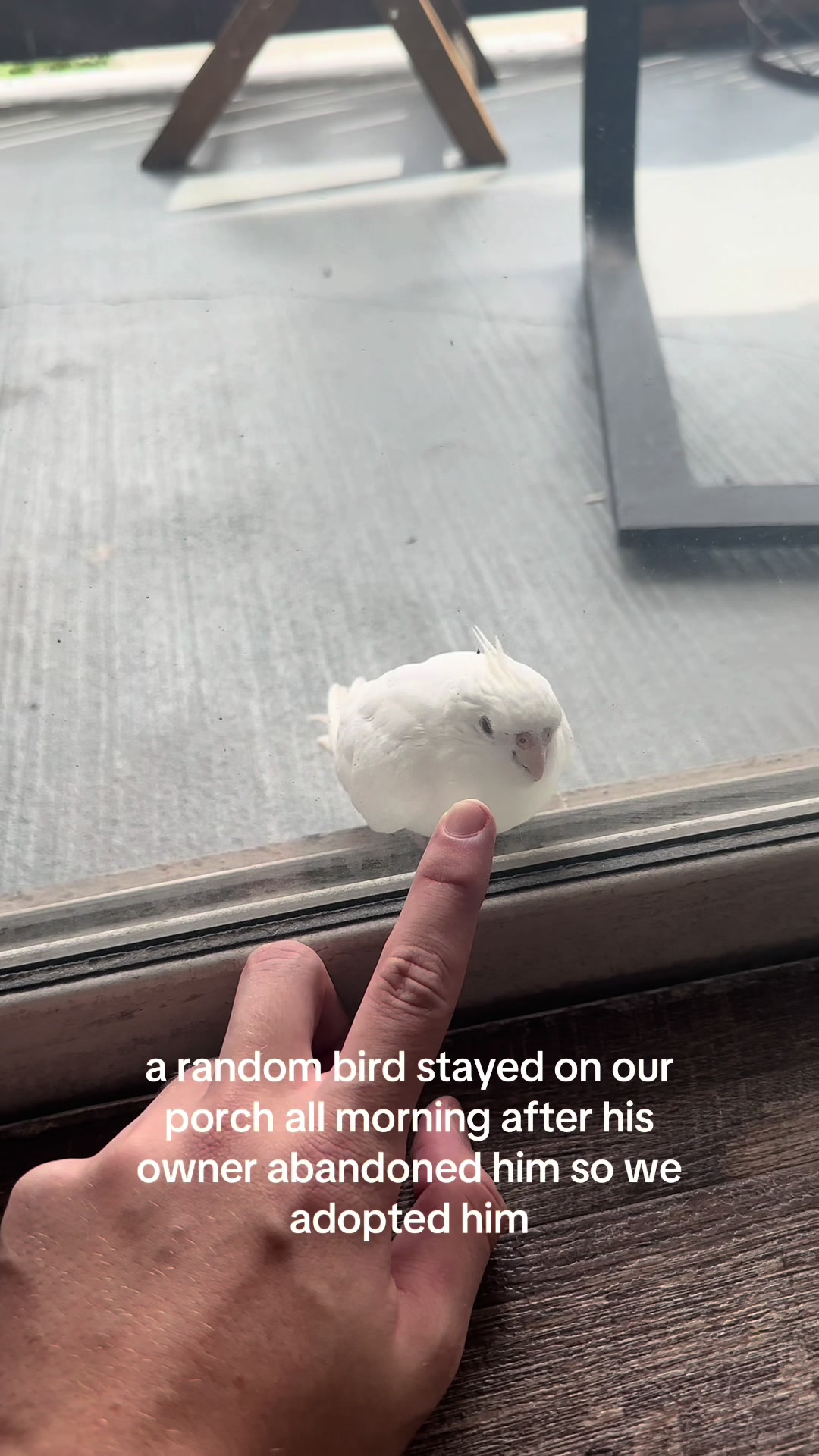 @david
