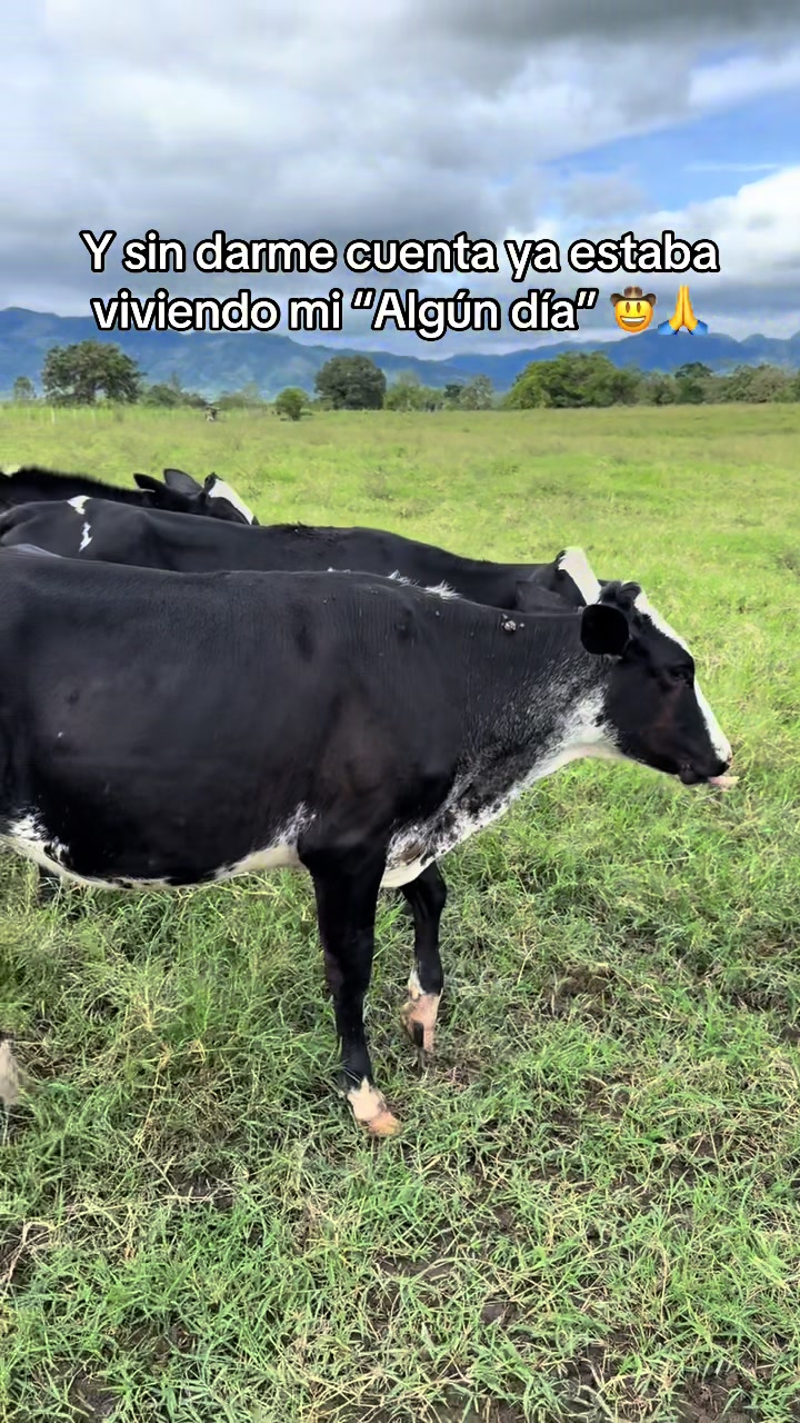 @Jhonatan Cabrera Var