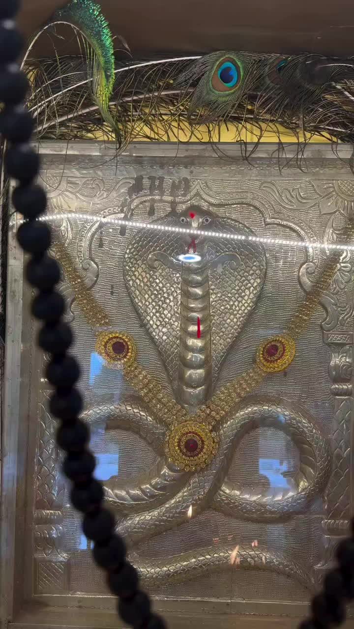 @Nick chaudhari1 🇮🇳 🇺🇸