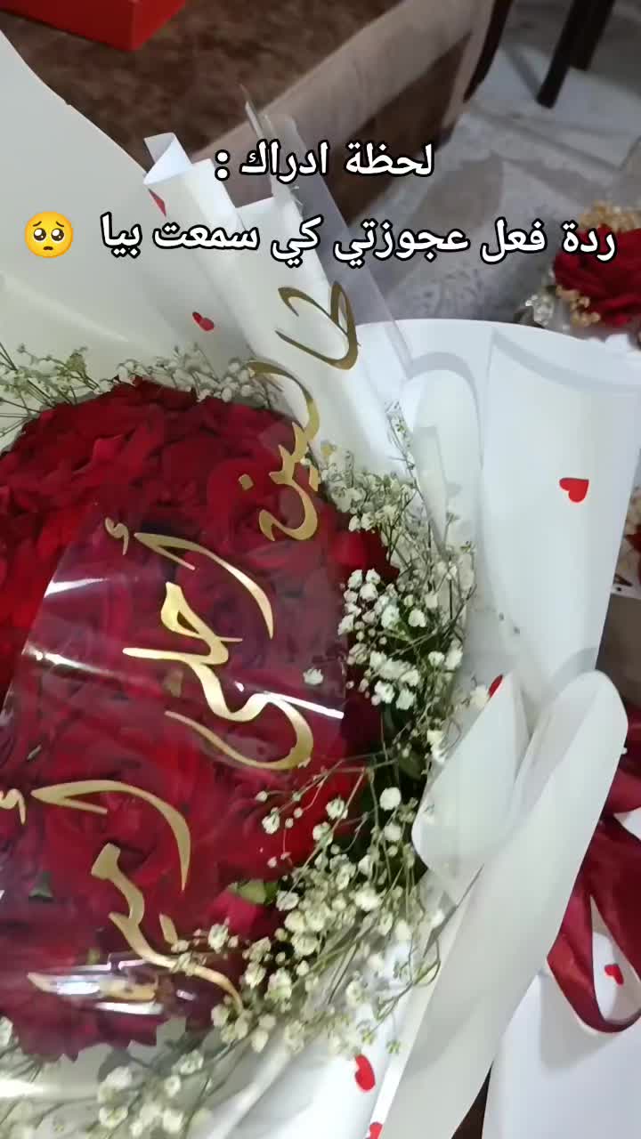 @amira mansour