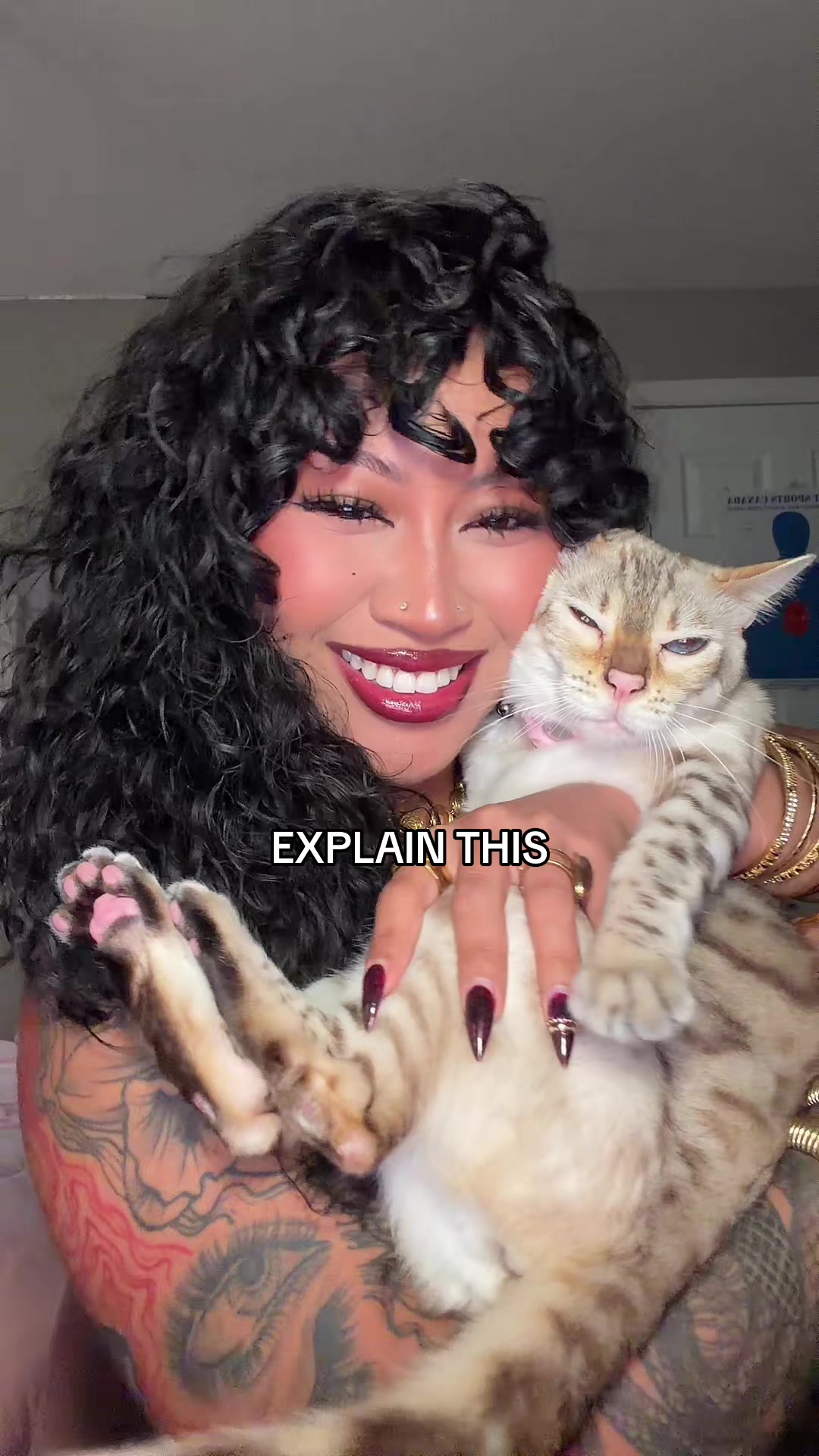 @Mirajane The Bengal🐾