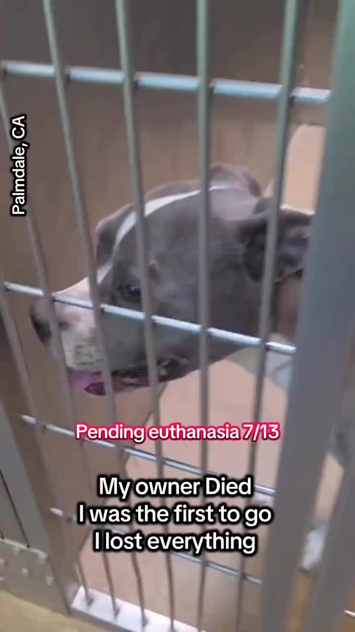 @mistermnn