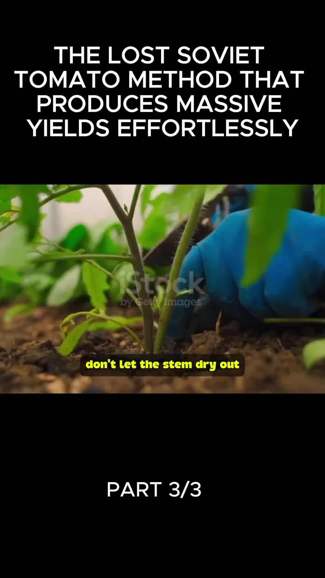 @user32331650853717