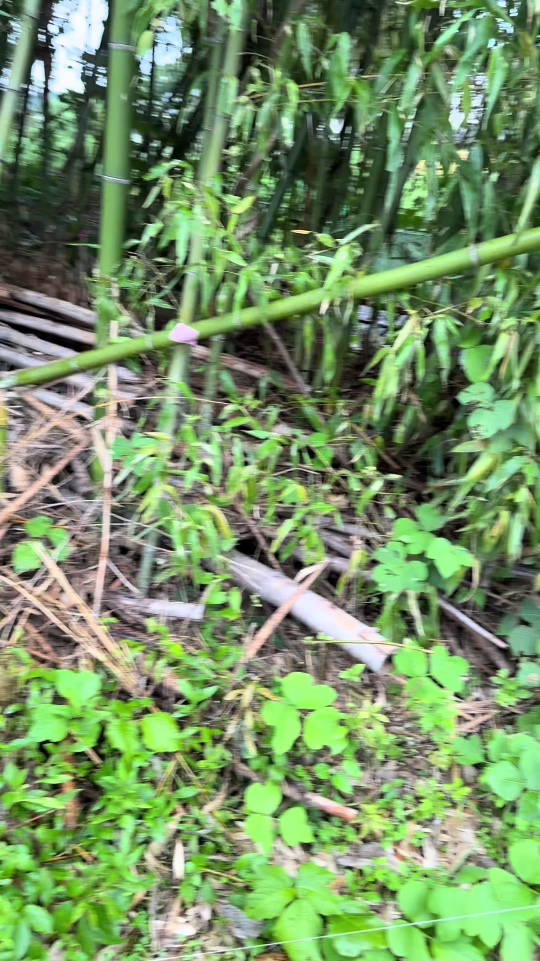 @ゲップ13サーティーン
