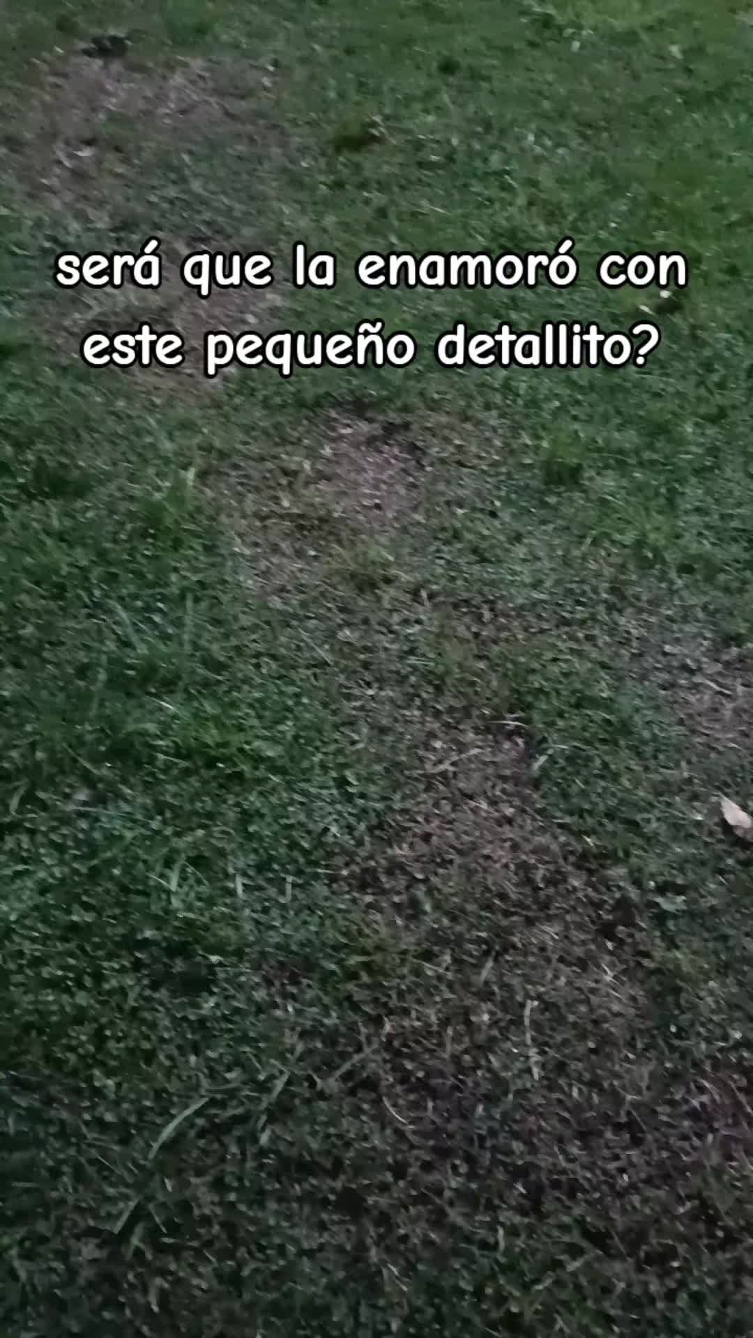 @Hector Camilo
