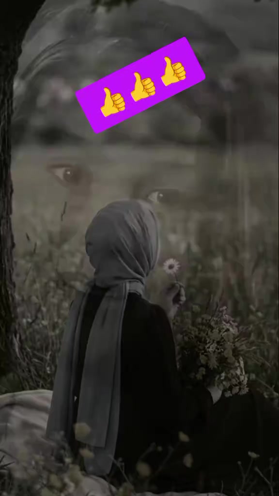 @58_Sevil