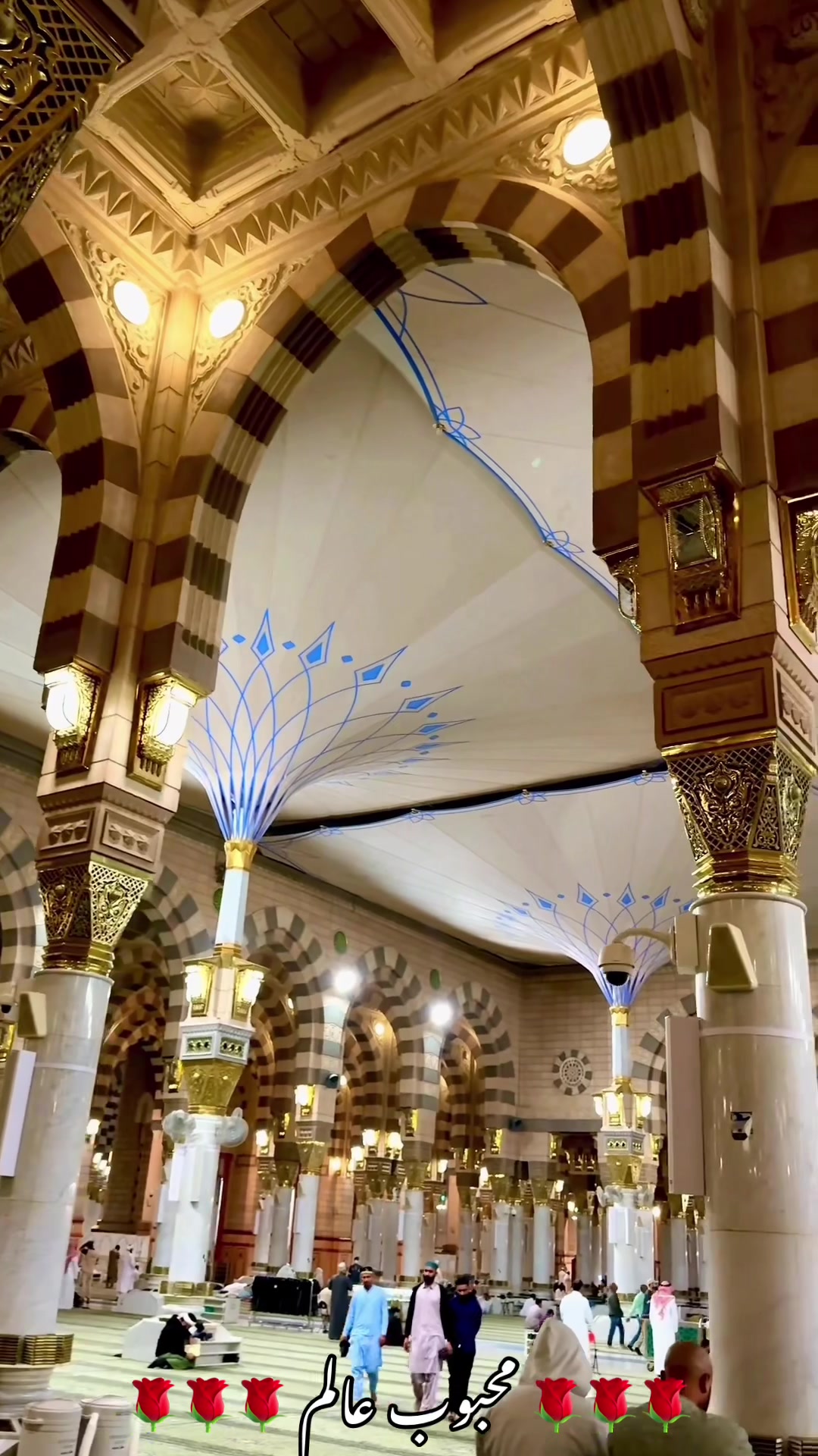@محبوب عالم