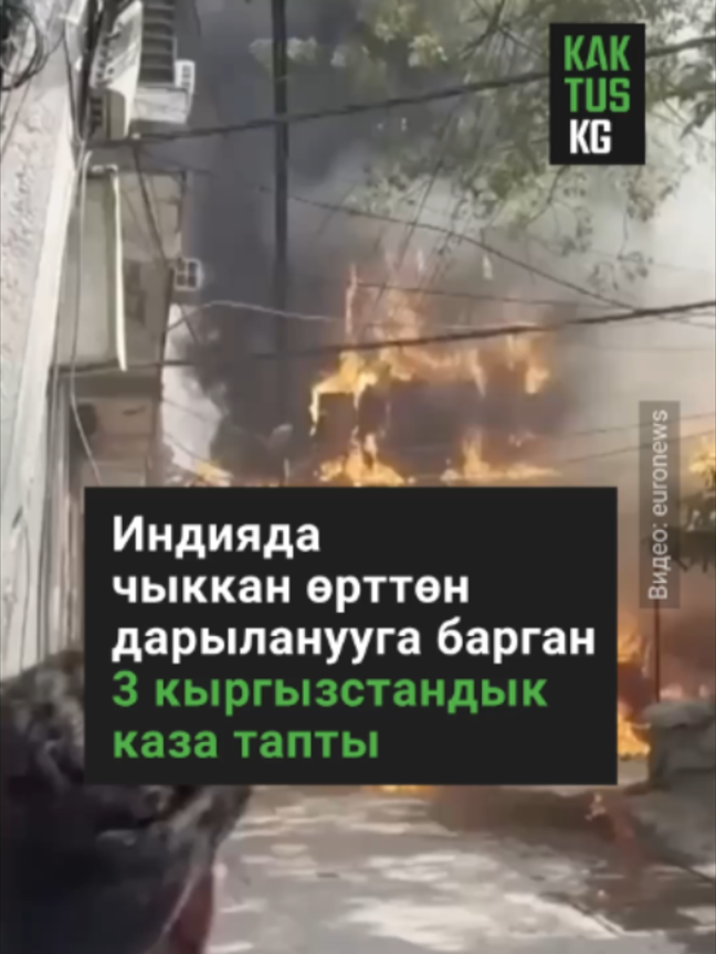 @Kaktus KG