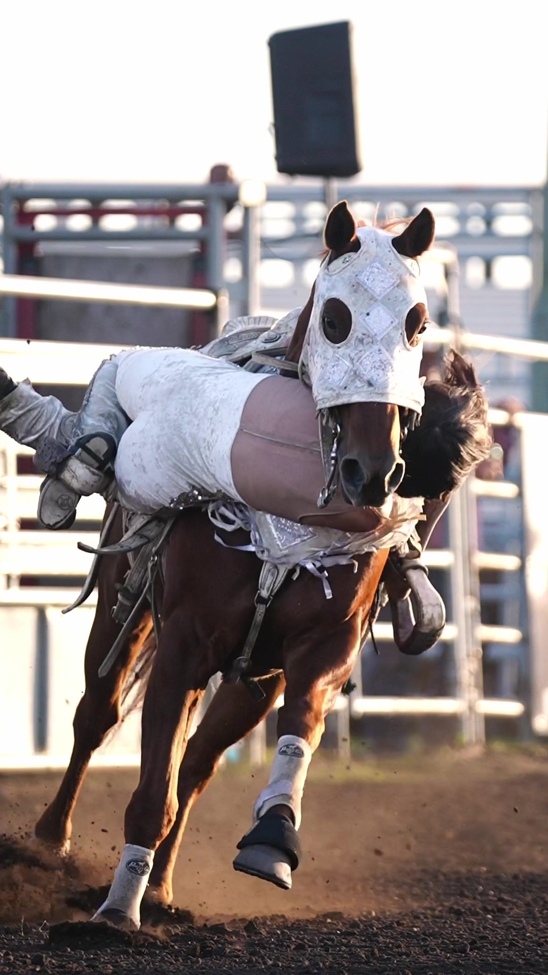 @Hanginghorses