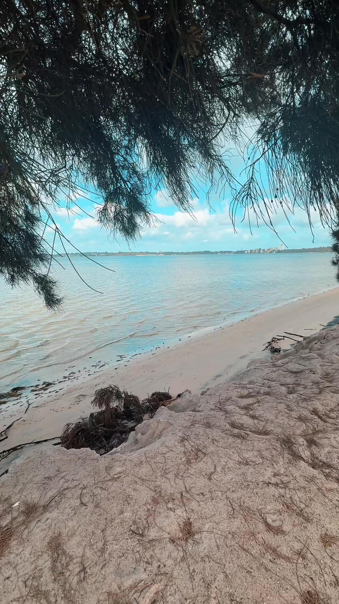 @CapturedVibes