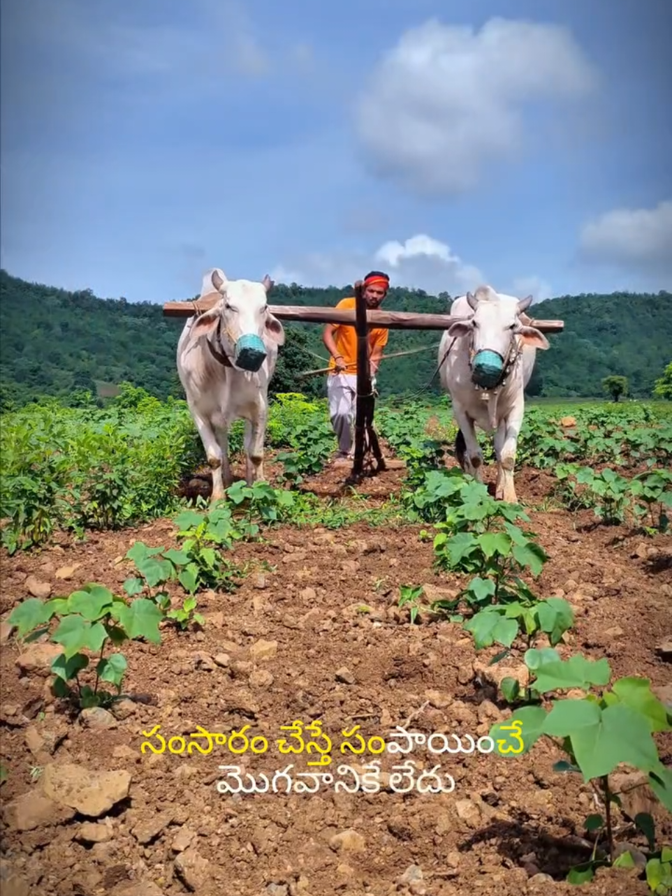 @🚩దళ నాయకుడు✊