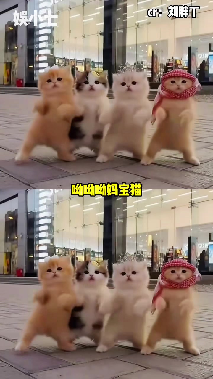 @liujiangyu