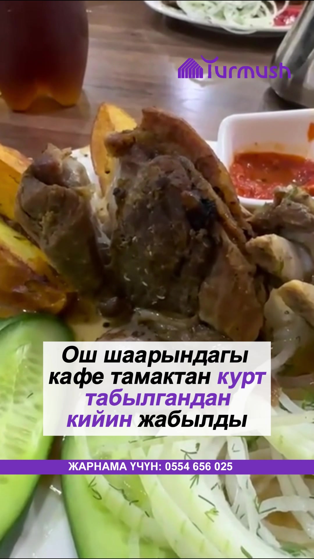 @turmush.kg__