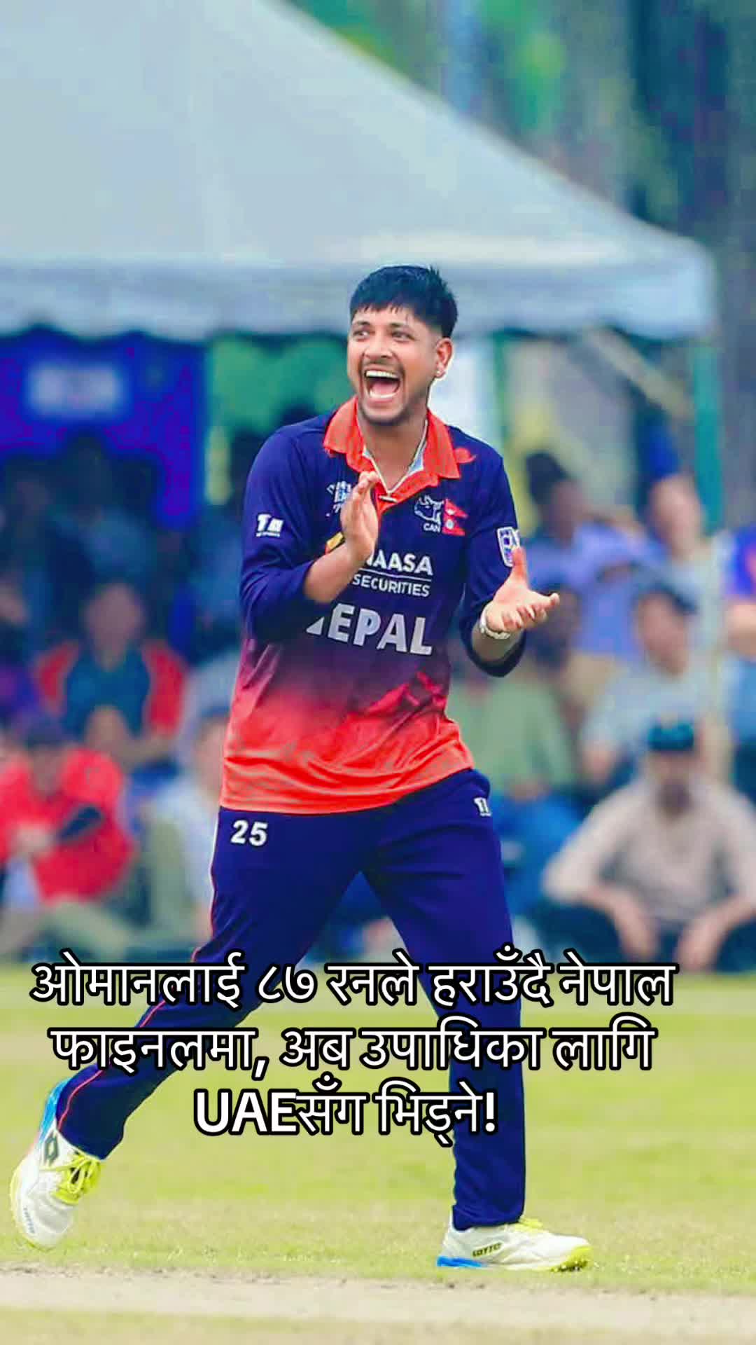@NPL Update